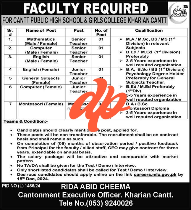 Cantt Public High School and Girls College Kharian Jobs 2024